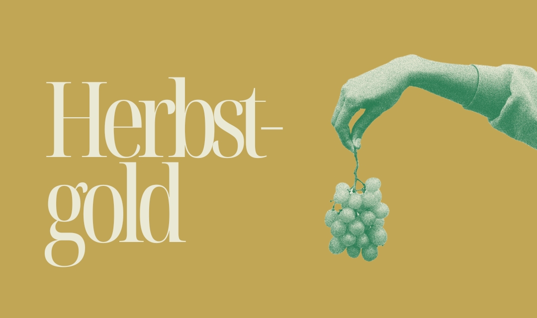 Golden Autumn – Crisp air & colorful landscapes!